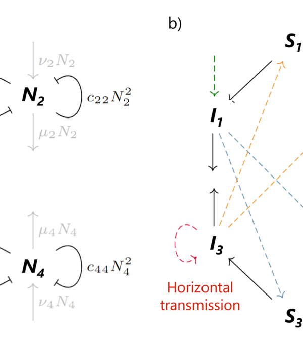 Exploring the influence of competition on arbovirus invasion risk in communities