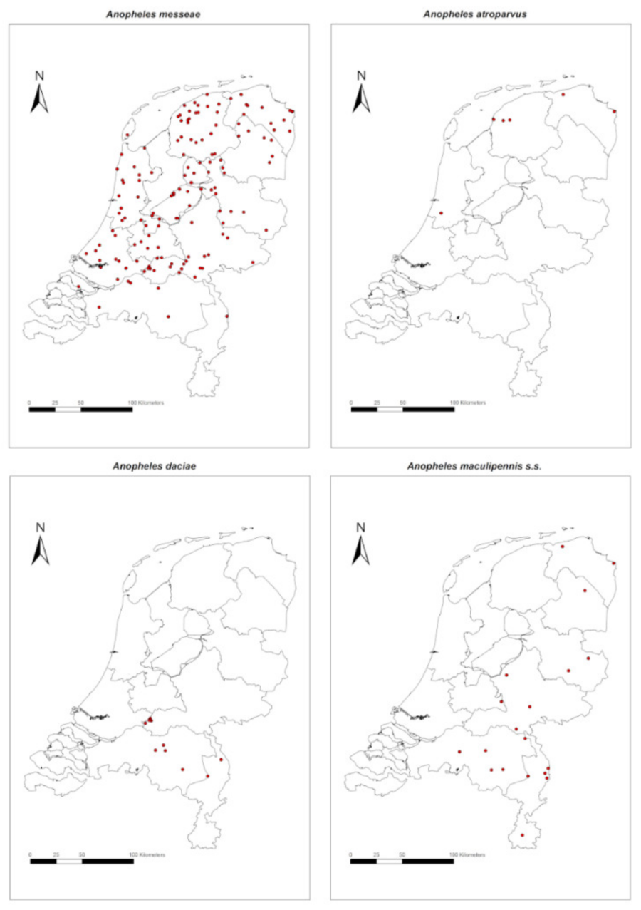 Anopheles maculipennis Complex in The Netherlands: First Record of Anopheles daciae (Diptera: Culicidae)
