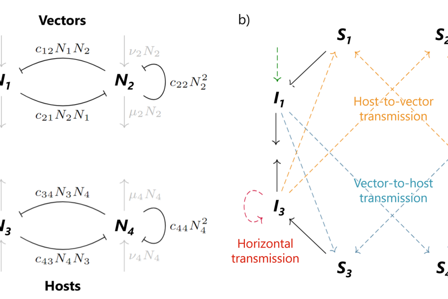 Exploring the influence of competition on arbovirus invasion risk in communities