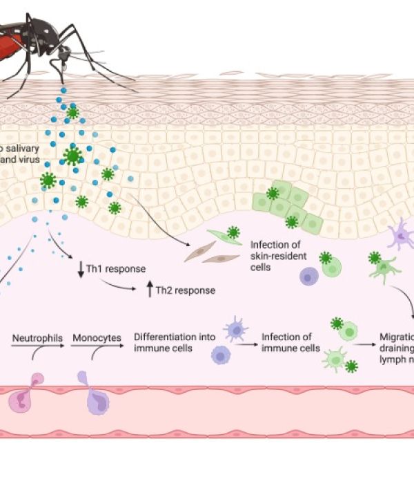 The significance of mosquito saliva in arbovirus transmission and pathogenesis in the vertebrate host