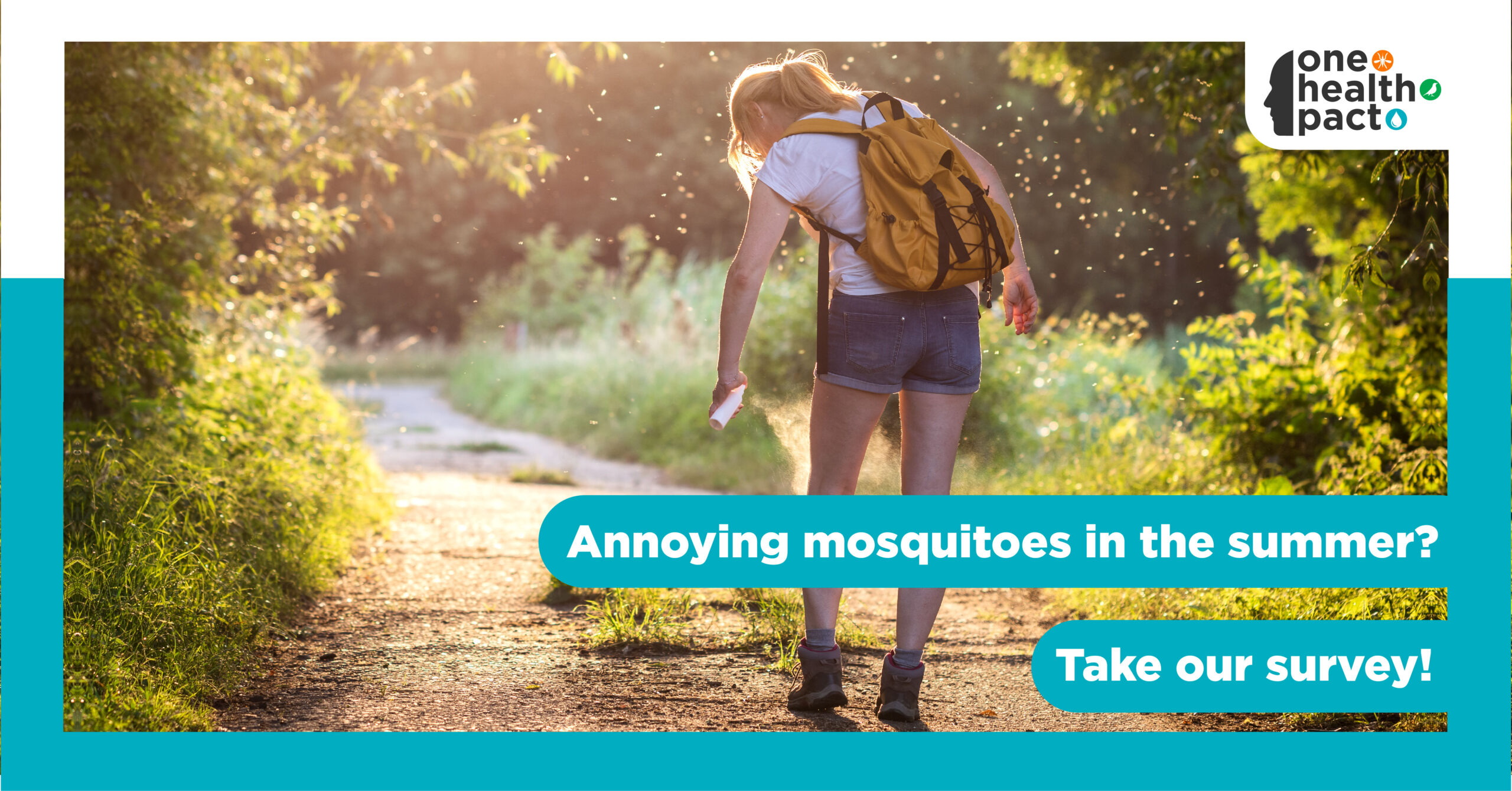 Questionnaire Mosquitoes and Mosquitoborne viruses One Health PACT