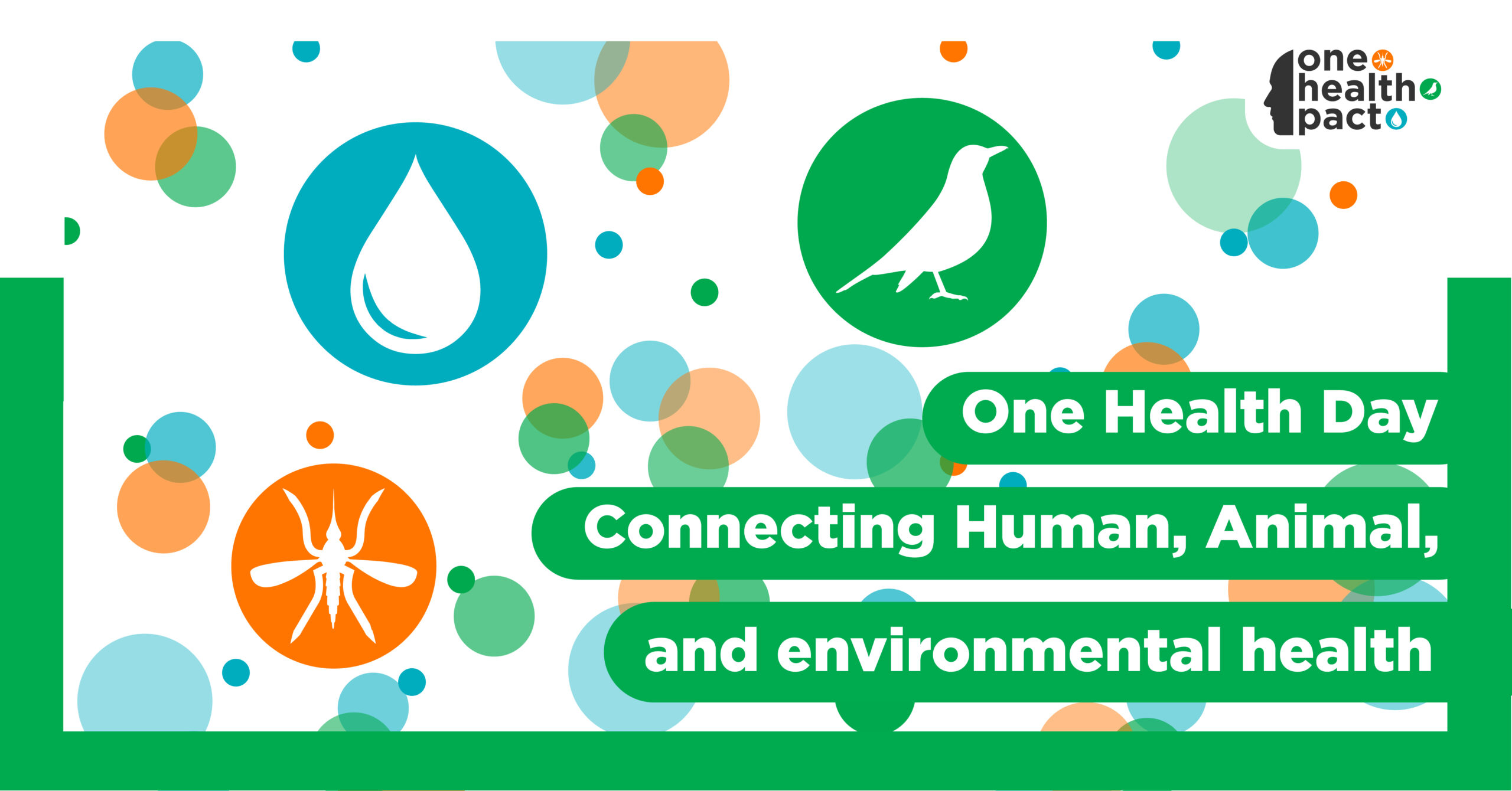 November 3 2022 One Health Day! One One Health. One Health PACT