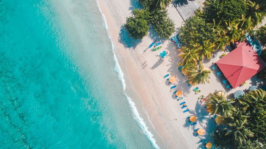 one health travel